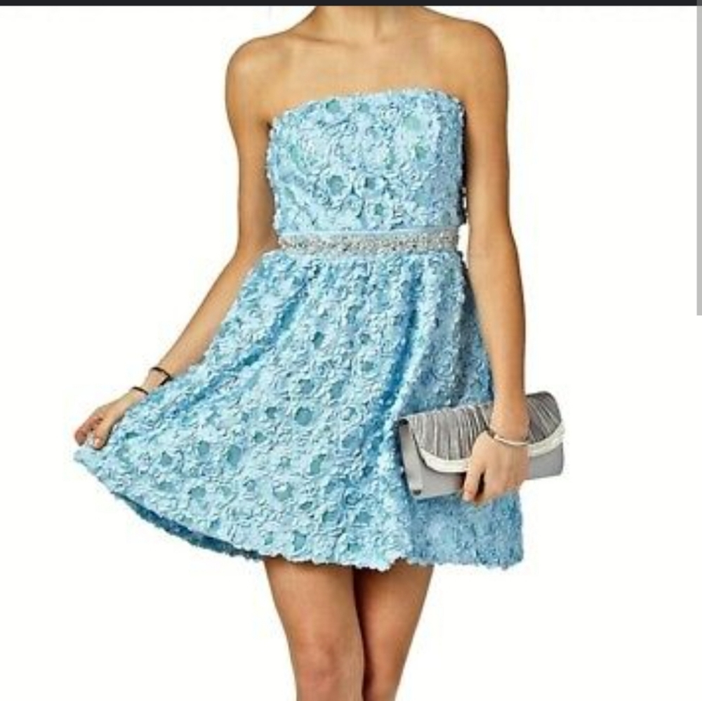 As You Wish Cinderella Cocktail Dress